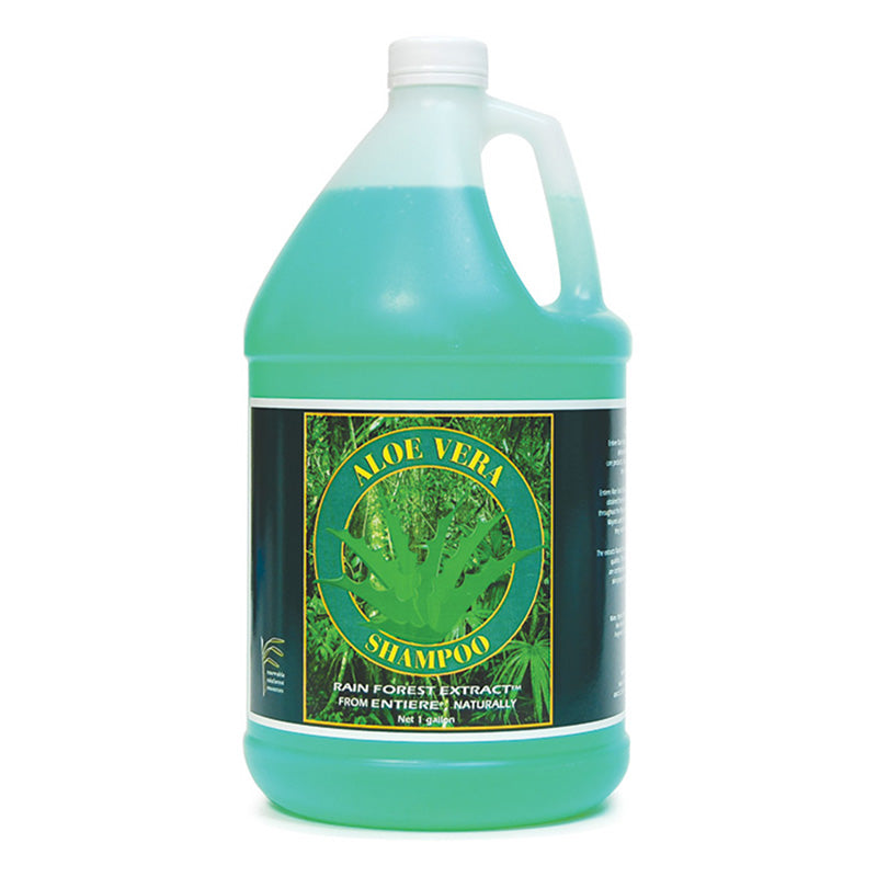 al agave Agave parryantha Mazatzal