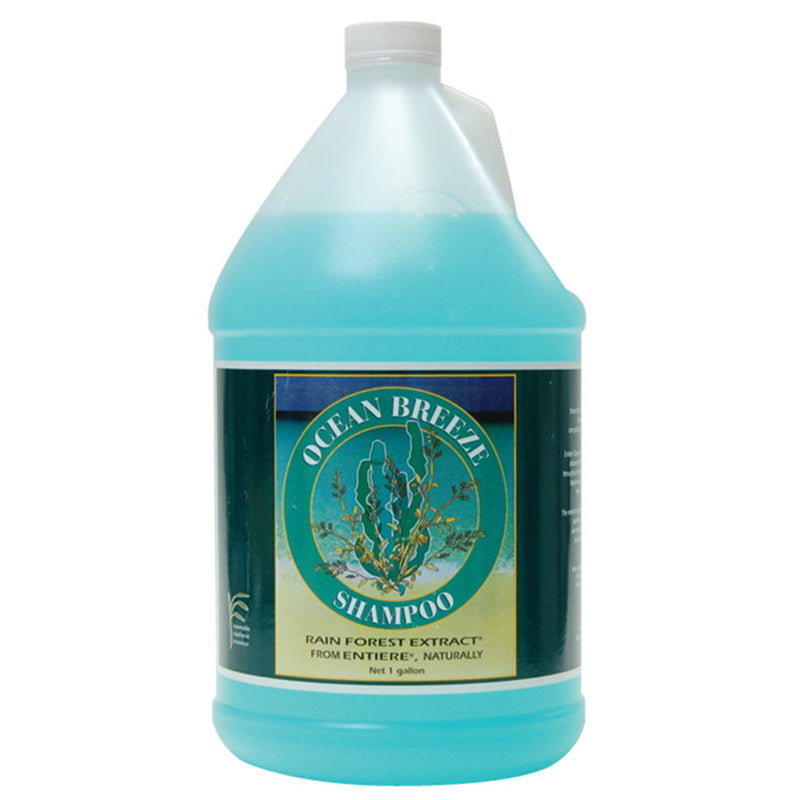Entiere Shampoo, Ocean Breeze, gallon bottle